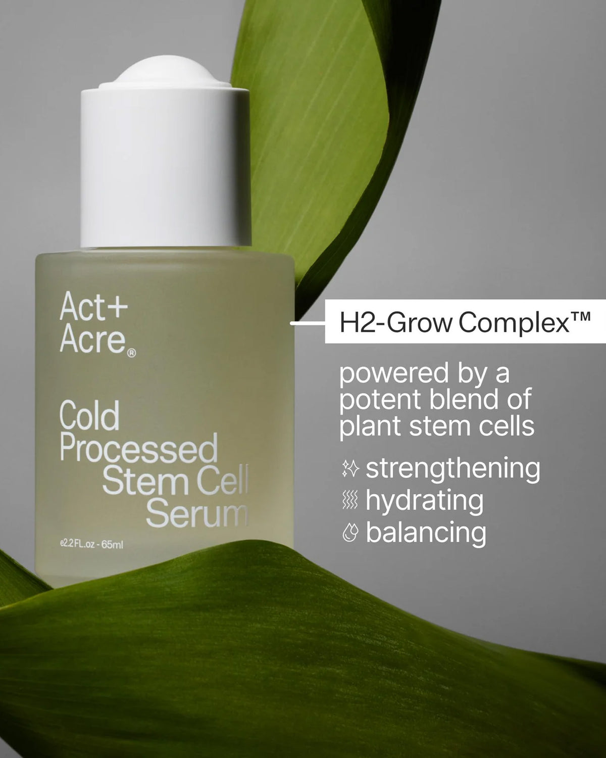 Act + Acre Scalp Serum NCOL | Hover